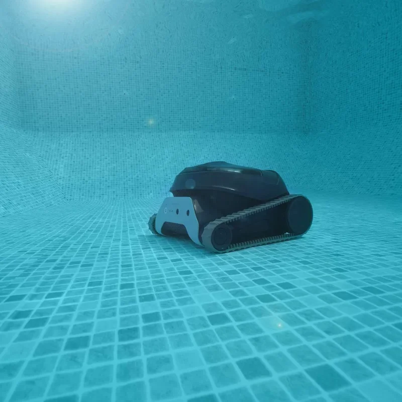 Dolphin Liberty 400